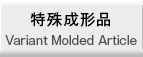 特殊成形品